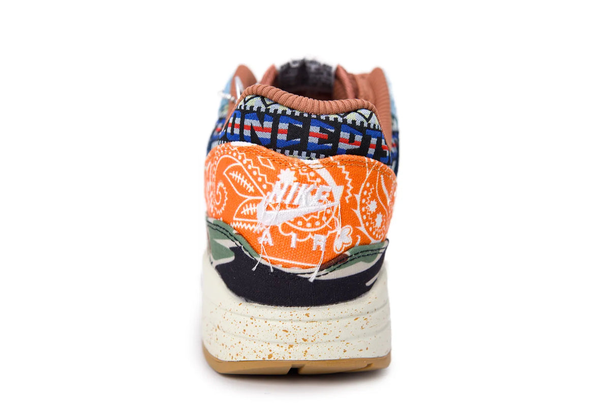 Air Max 1 SP Concepts Heavy