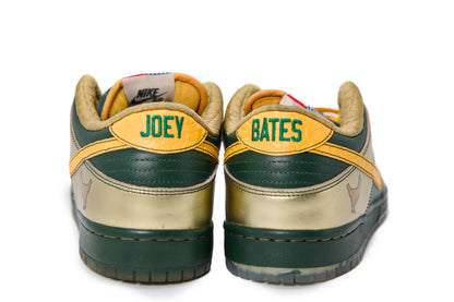 SB Dunk Low Doernbecher 2018