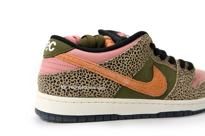 Nike SB Dunk Low Pro Arts Rec Special Box